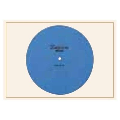 SterilContainer Filter Blue...