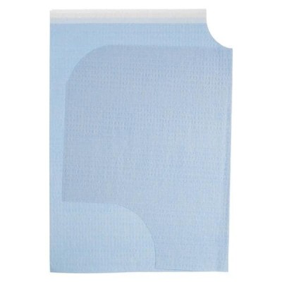 EveryDay Endo/Prophy...