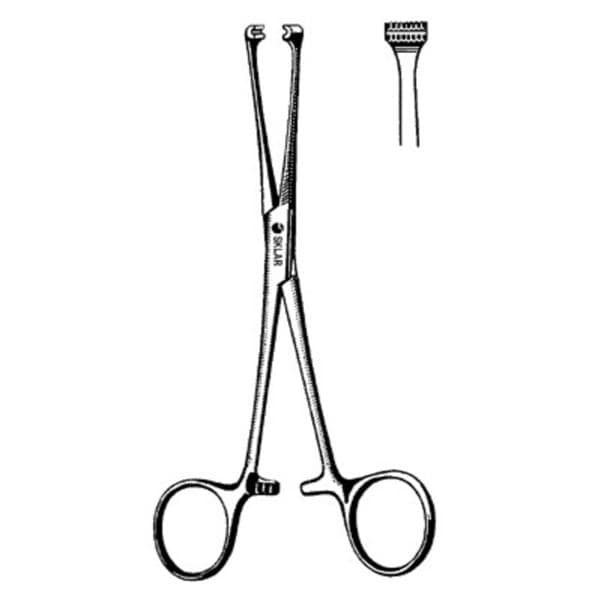 Allis Grasping Tissue Forcep Straight 10" Ea