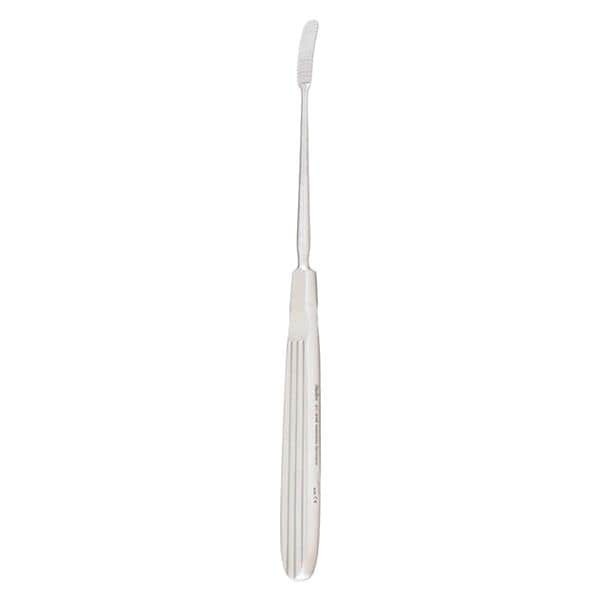 Aufricht Glabella Rasp 8-1/4" Stainless Steel Ea