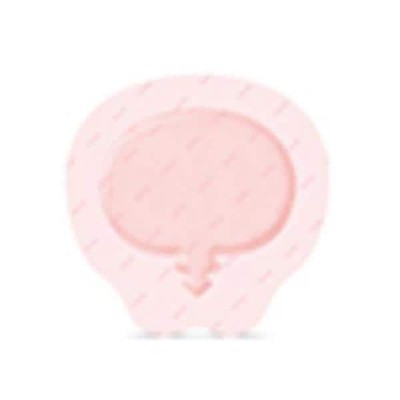 Allevyn Life Silicone/Foam...