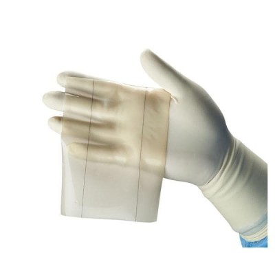 Regeneration Template...